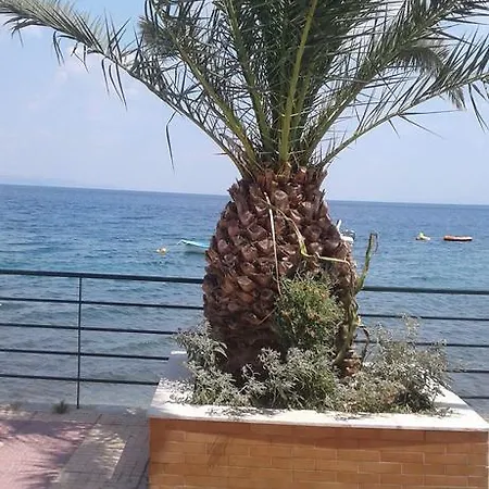Nour63